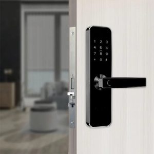 BiometrischeSystemen
